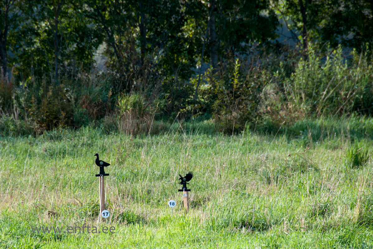 New targets from Hungary